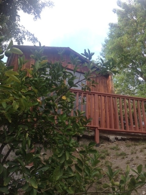 Photo - 1530 Bainum Dr House
