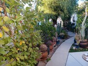 Entryway - 7649 Beckett St
