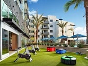 Courtyard - Blu Apartments