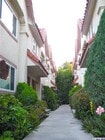 Main Entrance - 7223 Lotus Ave Townhome