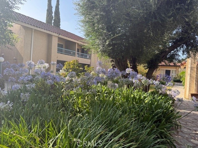 Photo - 18307 Burbank Blvd Condo Unit 234