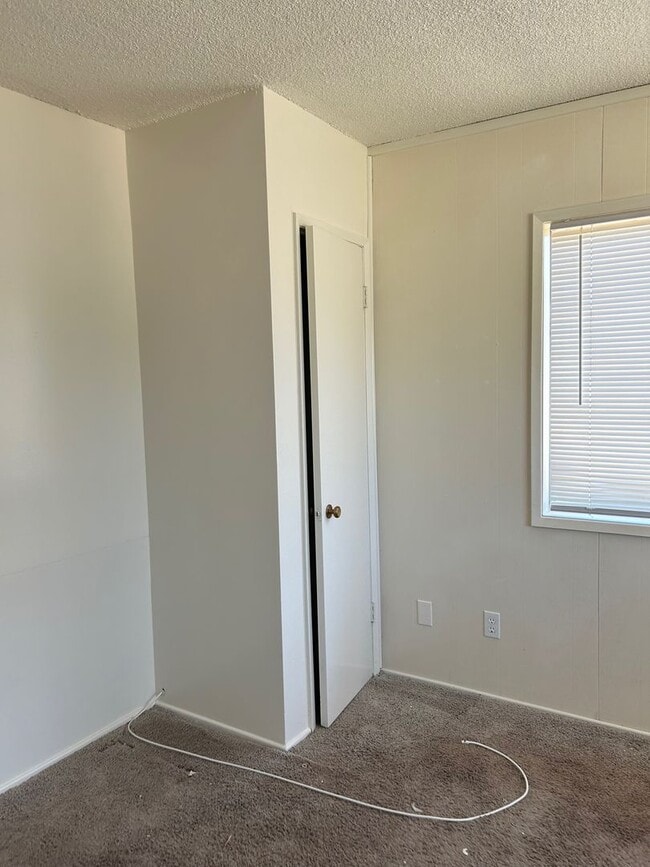 Photo - AVAILABLE NOW