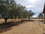 Photo - Wide open spaces! House