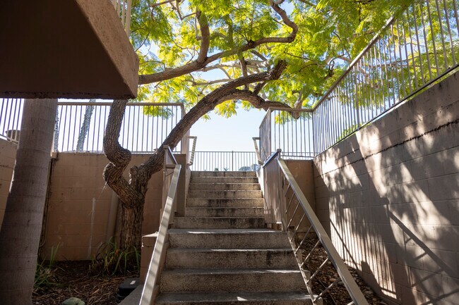 Photo - 2517 Navarra Dr Unit 2E