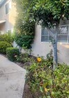 Photo - 4111 Poplar St Condo Unit 11