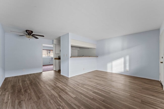 Photo - 1616 Grismer