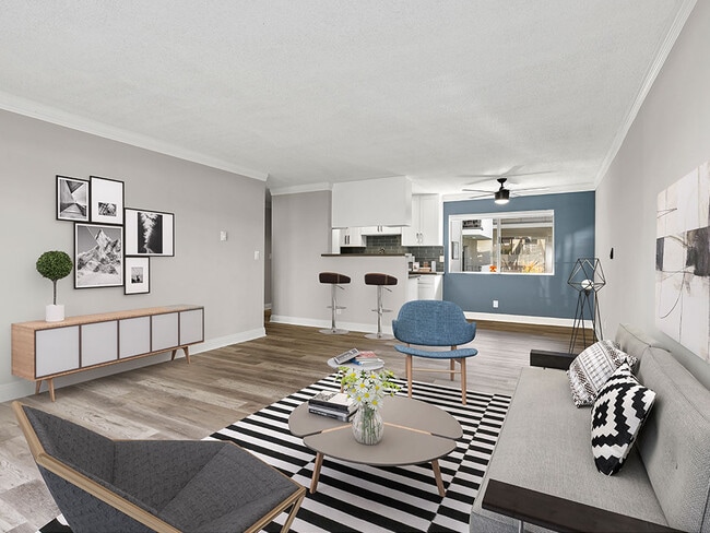 Living room with hardwood floors and blue accent wall. - Rose Avenue