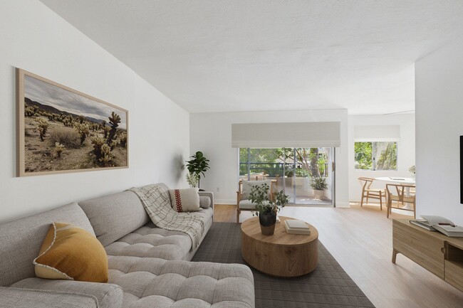 Photo - Willis Park South