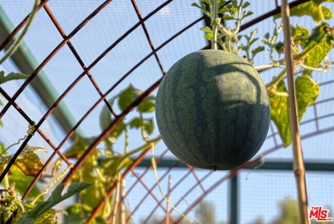 Photo - 2057 Stanley Hills Pl