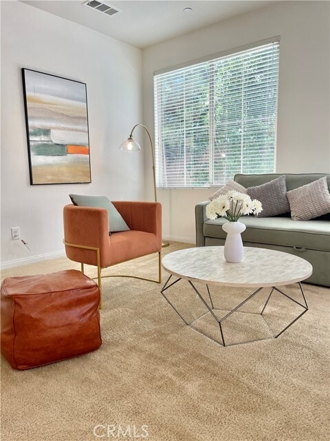 Photo - 107 Bright Poppy