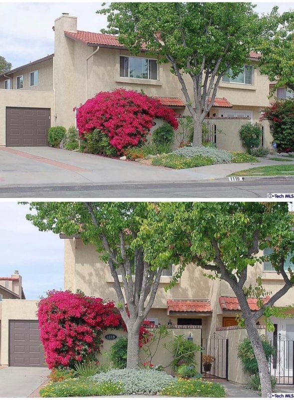 Photo - 1119 Cll Malaga Townhome