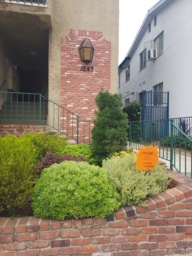 Building and front Garden - 1247 Federal Ave