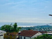 Photo - 33771 Copper Lantern St Apartment Unit #C