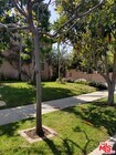 Photo - 1745 Midvale Ave