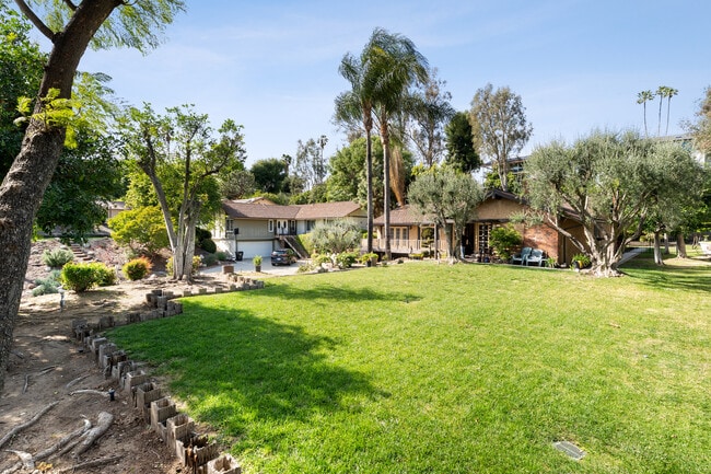 Front Yard with Beautiful Grass two Spectacular Olive TREES - 1557 E Puente St