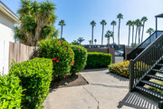 Courtyard - Terre at E Park fka Town Plaza Apartments