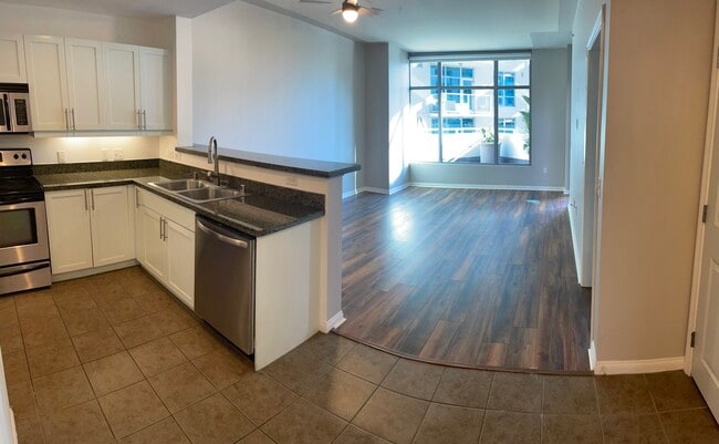 Living Room and Kitchen - 253 10th Ave Unit 229