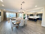 Photo - 64 Turnstone