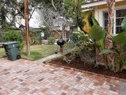 side garden - 741 Elmira St