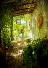 Front Porch with vintage brick floor and vine covered roof - 822 E Kensington Rd House