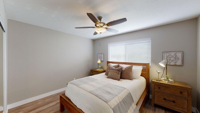 Photo - Sunnyside