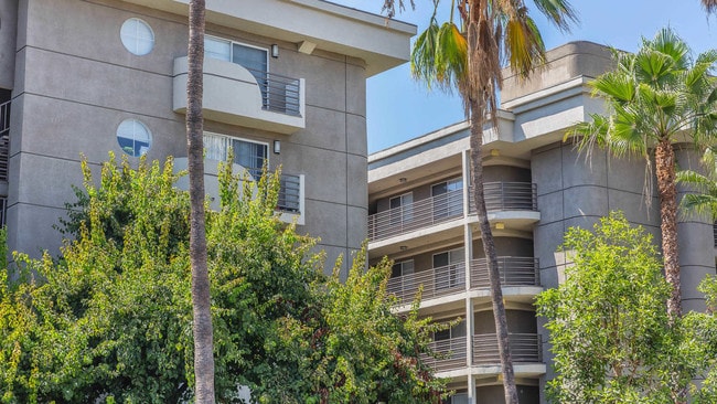 The Cleo Apartments Building - The Cleo