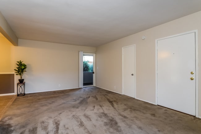 Photo - Molino House