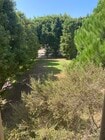 View from apartment - 2443 Arizona Ave