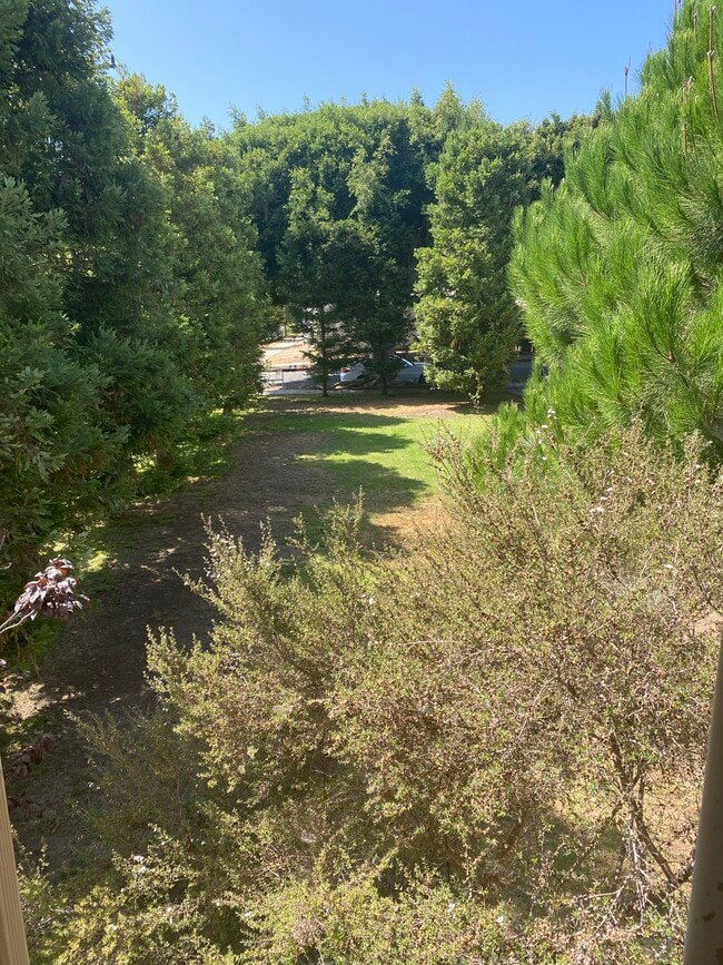 View from apartment - 2443 Arizona Ave