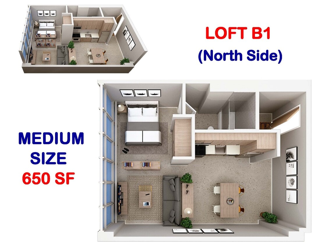 Floor Plan - Studio Loft B1 (North)