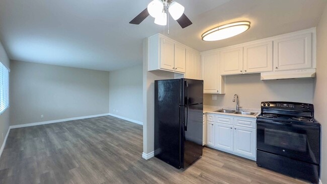 Photo - XAV Imperial Beach Palms