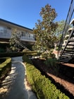 Photo - 999 Locust St Unit 14