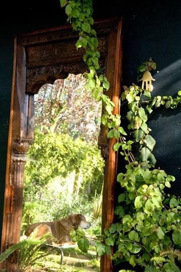 back yard - 11818 Pacific Ave