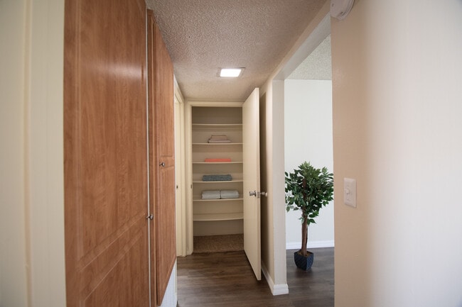 Photo - Gold Coast Apartments