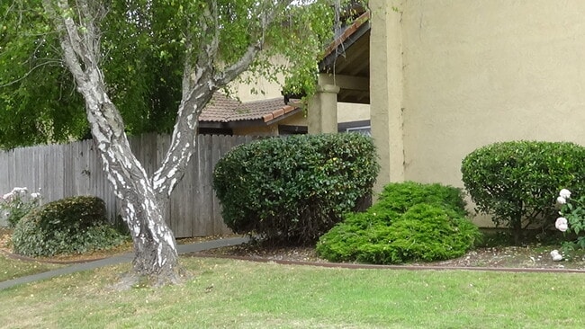 Front Yard - 1117 Seabreeze Way Townhome