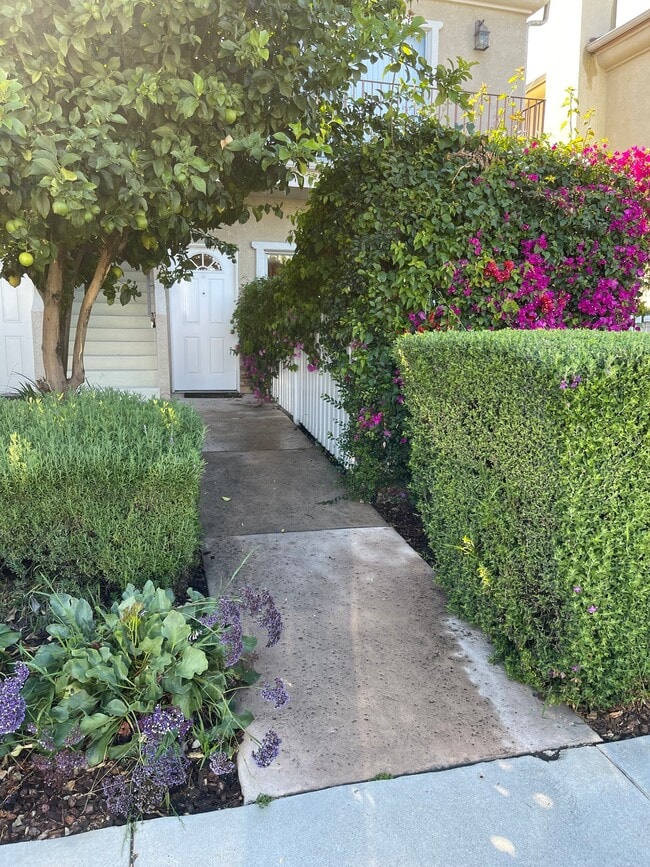 Building Photo - 4529 Colfax Ave