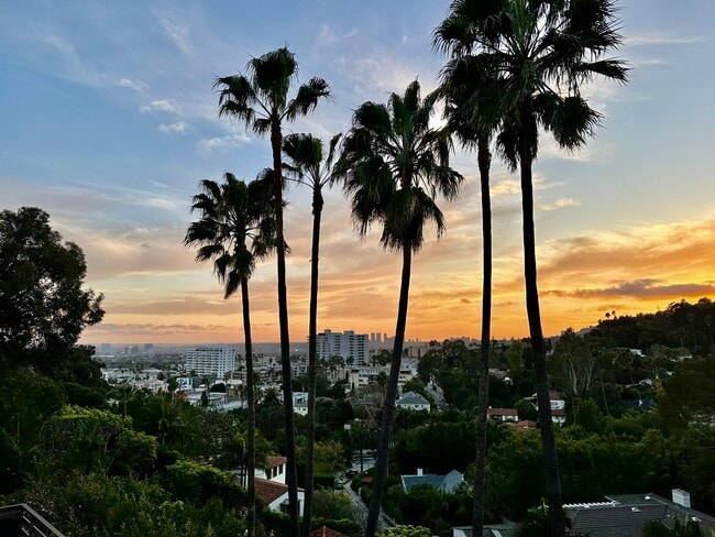 Building Photo - 2005 N Sycamore Ave