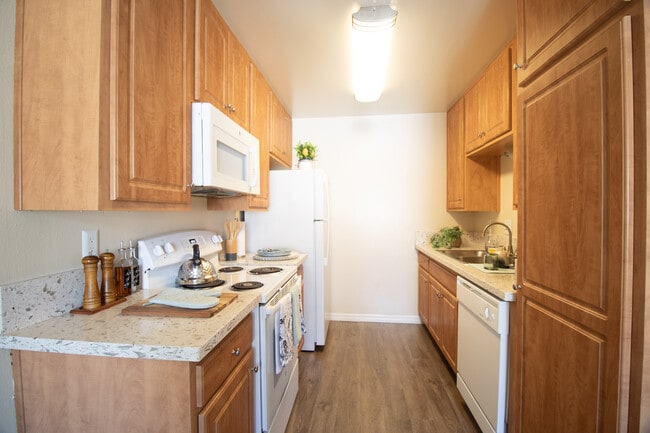 Photo - Gold Coast Apartments