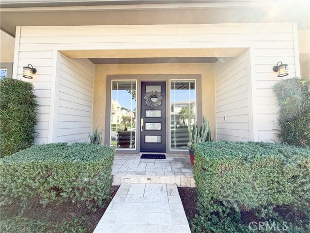 Photo - 64 Turnstone