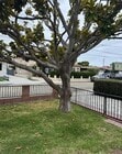Photo - 2111 Plant Ave