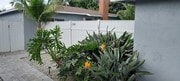 Photo - 2360 249th St