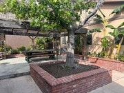Shared outdoor common area with barbecue setup - 8333 Painter Ave Unit Studio Apartment for Rent