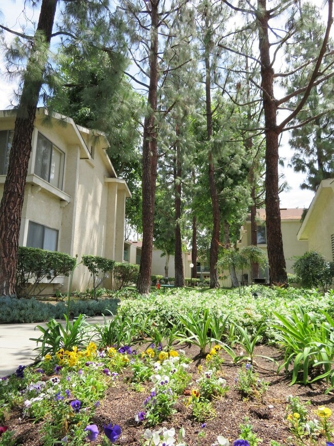 Photo - Jasmine Villas