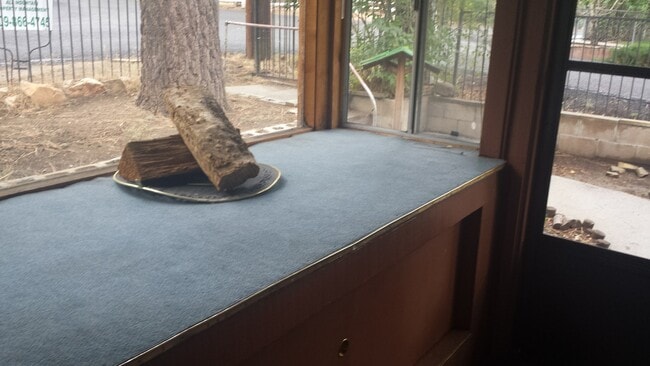 Photo - Single level 2 bedroom with 2 car garage