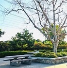 Photo - 15549 Jasmine Pl