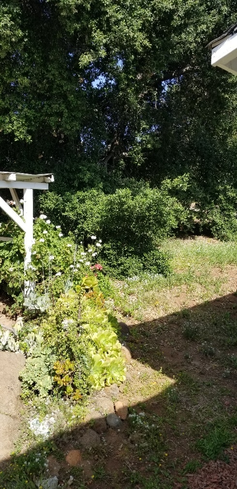 Photo - 1546 Tavern Rd