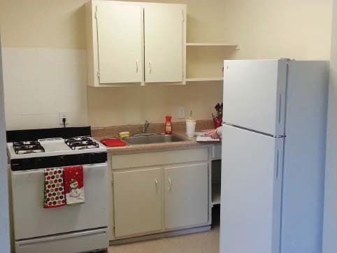 Kitchen - Mountain View Cottages