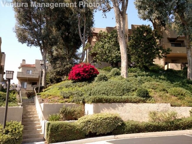 Building Photo - 187 McAfee Ct