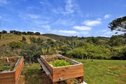 Tiered backyard with garden boxes - 10429 Wheatland Ave