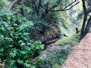 Photo - 1200 Old Topanga Canyon Rd